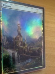 Plains #10 Foil Extended